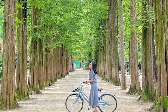 Eobi Ice Valley& Nami Island with Garden of Morning Calm Trip - Lunch and the cost of a fixed schedule