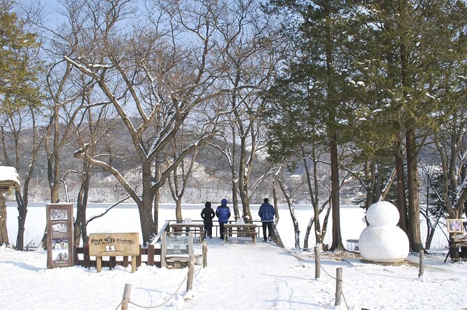 Eobi Valley(Winter), Strawberry, Nami Island & Railbike fr Seoul - Transport, group size, and the real time cost