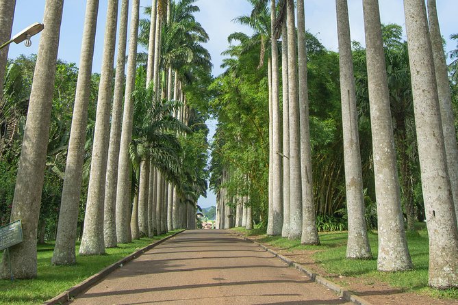 Escape Accra City to Aburi Gardens and Tetteh Quarshie Cocoa Farms - Leaving Accra for Aburi’s greener hills