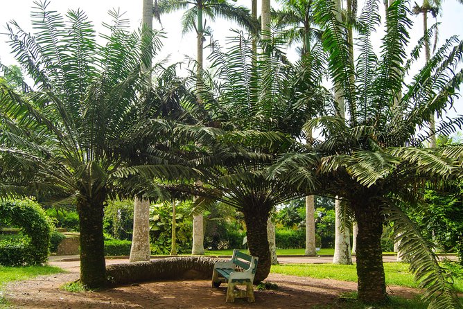 Escape Accra City to Aburi Gardens and Tetteh Quarshie Cocoa Farms - Private touring, guides, and the pickup question