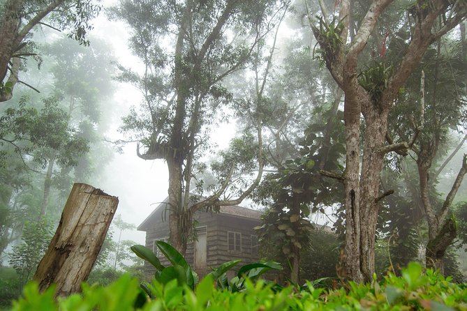 Escape Accra City to Aburi Gardens and Tetteh Quarshie Cocoa Farms - Who will enjoy this Aburi day trip most