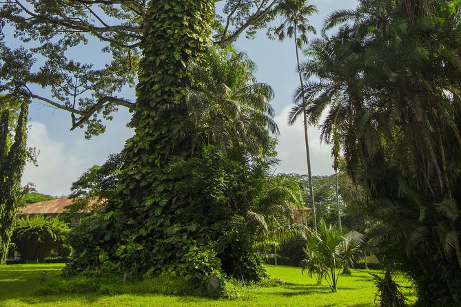Escape Accra City to Aburi Gardens and Tetteh Quarshie Cocoa Farms - Booking, cancellation, and weather notes