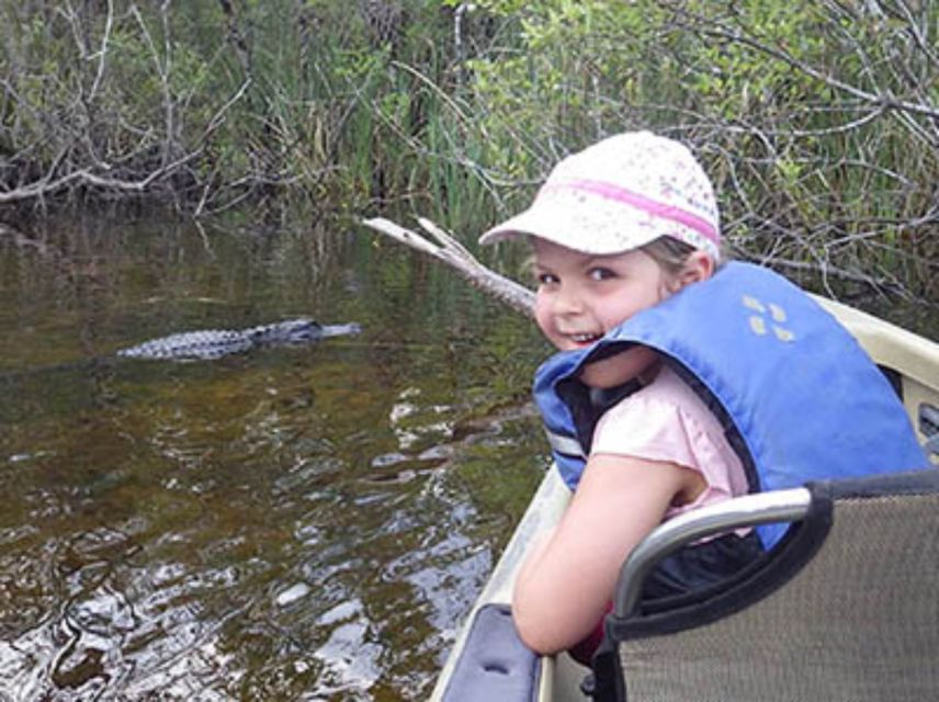 Everglades: Everglades Alligators and Orchids Kayak Eco Tour - Is $130 a fair price?