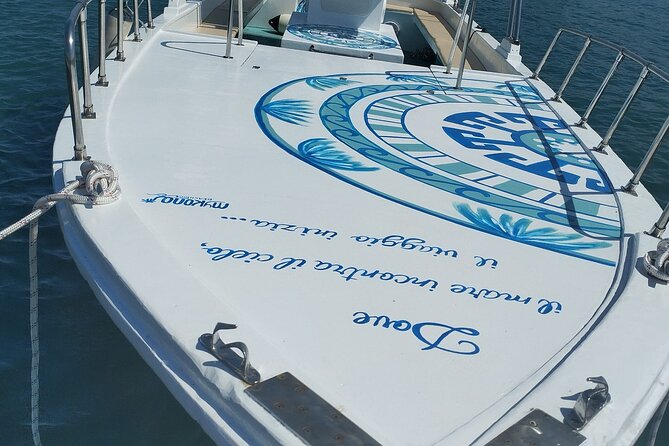 Excursions by boat: Gardens Naxos-Taormina-Isola Bella-DELFINI - The Giardini Naxos to Taormina view