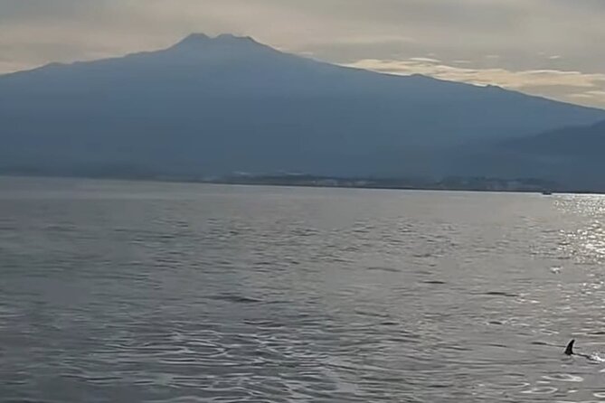 Excursions by boat: Gardens Naxos-Taormina-Isola Bella-DELFINI - Swimming among the reflections