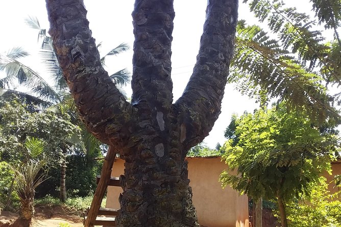 Experience Aburi Botanical Gardens And Boti Water Falls In A Day. - Is $180 per person fair value?
