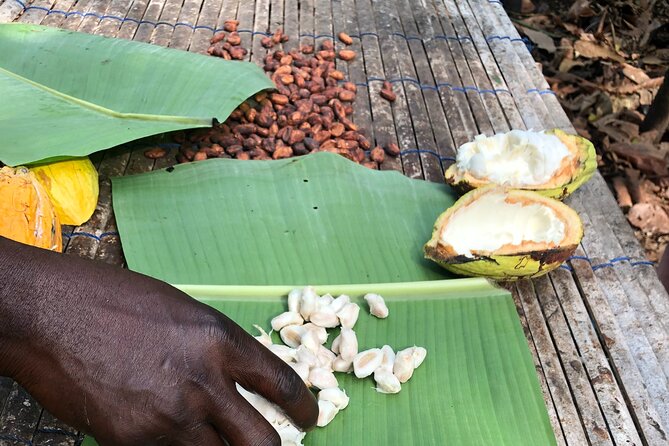 Experience Boti Waterfalls, Aburi Botanical Gardens & Tetteh Quarshie Cocoa Farm - Aburi Botanical Gardens: a calm first stop