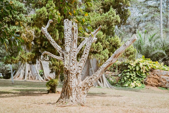 Explore Aburi Botanical Gardens And Boti Falls - Private transport and the long day
