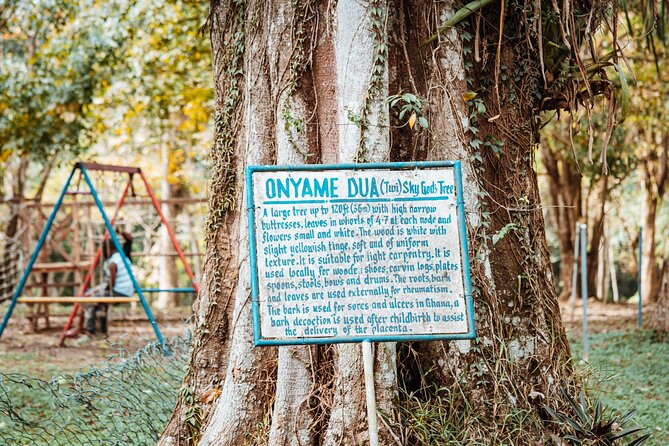 Explore Aburi Botanical Gardens And Boti Falls - Who will enjoy this experience most