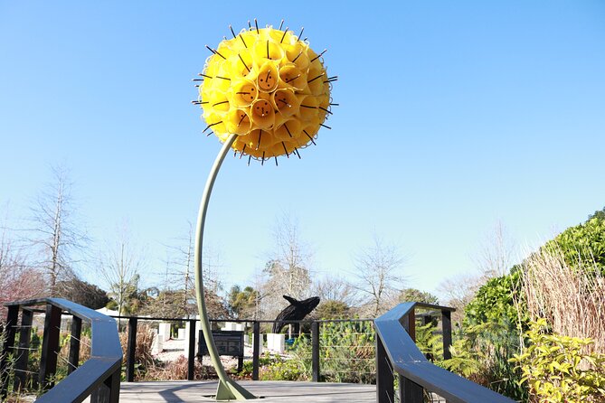 Explore gardens & galleries filled with incredible art, Matakana - A good stop for families and mixed-interest groups