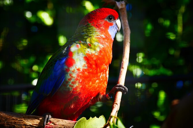 Explore gardens & galleries filled with incredible art, Matakana - Planning your visit from Auckland