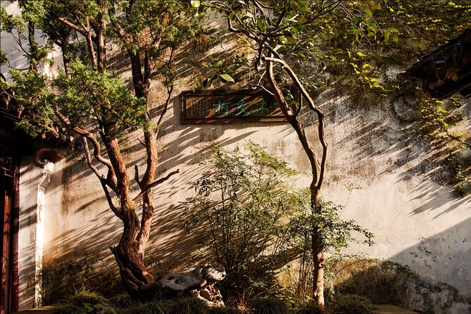 Explore Suzhou's Hidden Gardens&Enchanting Tongli Ancient Town - Who should book this experience