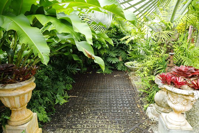 Explore the Enchanted Gardens of Barbados - Who will enjoy this garden tour most