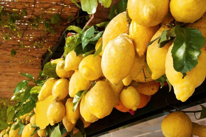 Farm-to-Table Experience: Olive Oil, Garden Tour & Nonna’s Lunch - Bruschetta, pasta, and Mama’s seasonal lunch