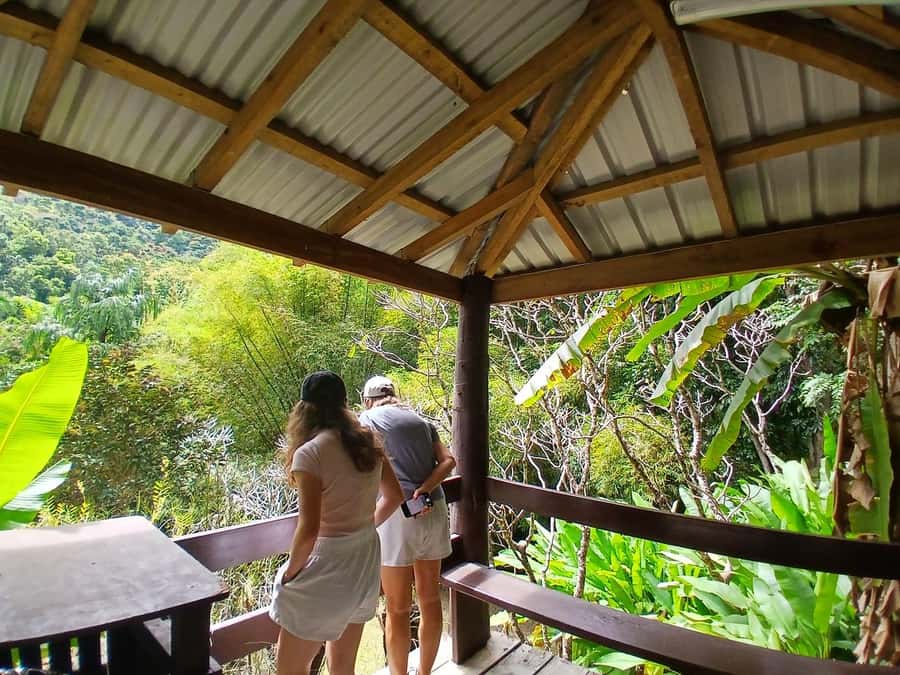FIJI: Garden of the Sleeping Giant Tour - From Nadi to the foothills of the Sleeping Giant