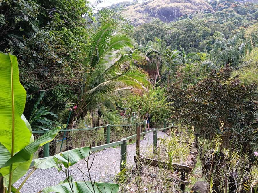 FIJI: Garden of the Sleeping Giant Tour - A quiet Fiji outing, not a full-day adventure