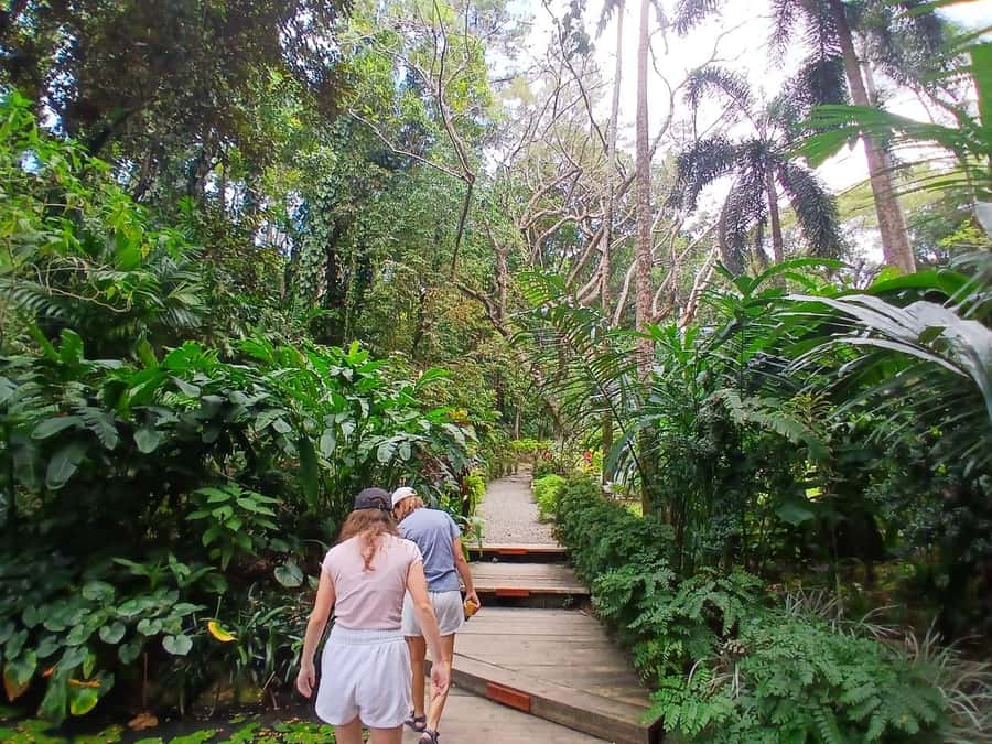 FIJI: Garden of the Sleeping Giant Tour - Why early morning makes a real difference