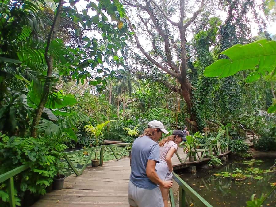 FIJI: Garden of the Sleeping Giant Tour - What the experience gets right