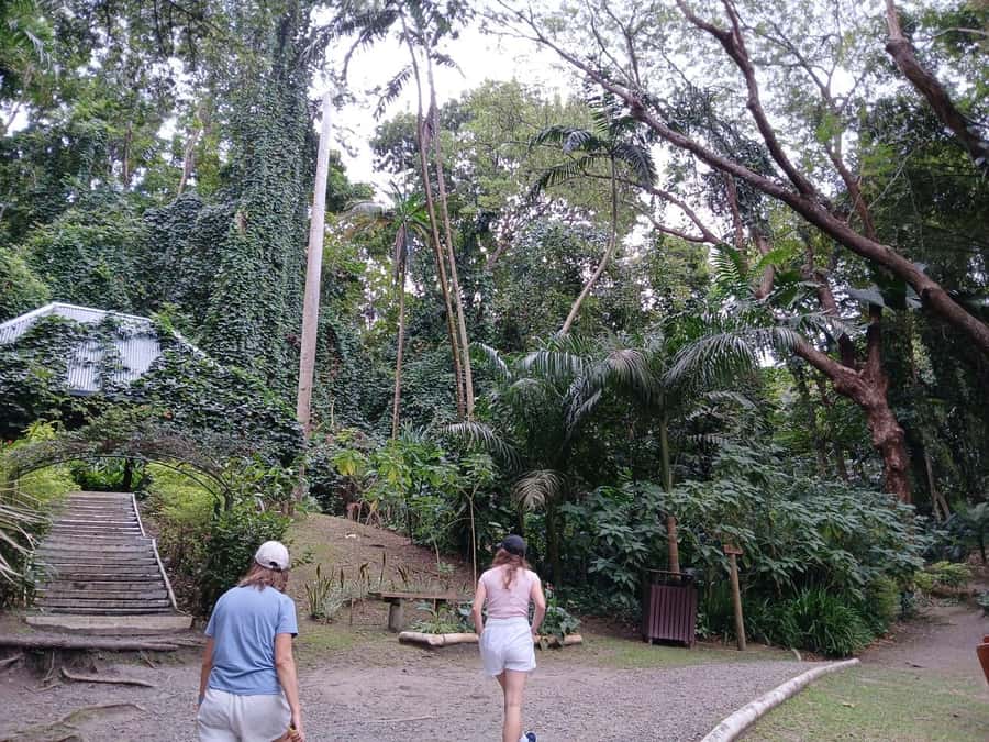 FIJI: Garden of the Sleeping Giant Tour - What could be better