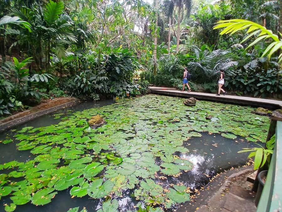FIJI: Garden of the Sleeping Giant Tour - Who should book the Garden of the Sleeping Giant?
