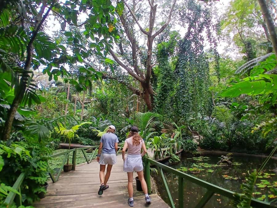 FIJI: Garden of the Sleeping Giant Tour - Raymond Burr’s garden begins with orchids