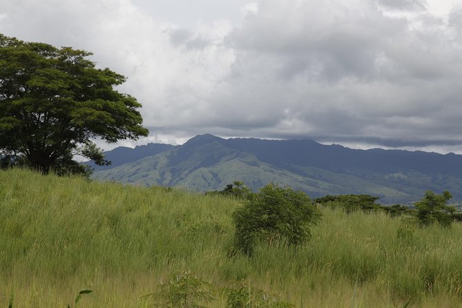Fiji Local Village, Market, Temple & Garden of Sleeping Giant with Mud Pool Tour - Five things to know before you book