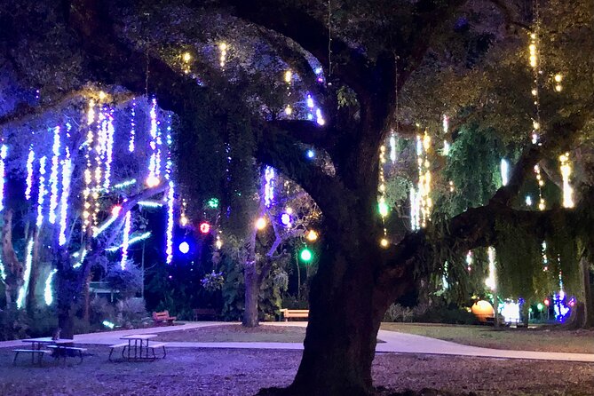 Flamingo Gardens' Garden of Lights - Holiday snacks, s’mores, and weekend shopping