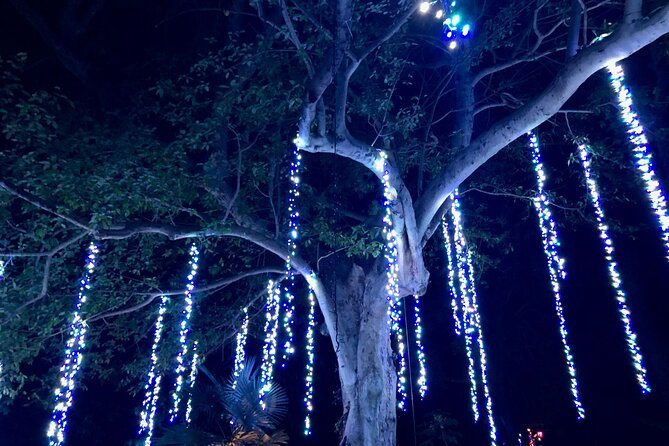 Flamingo Gardens' Garden of Lights - The biggest issue: lighting reliability