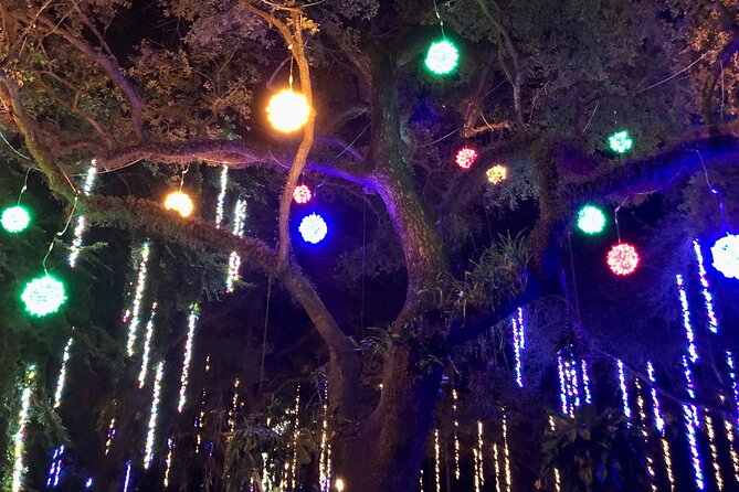 Flamingo Gardens' Garden of Lights - Is $24 a fair price?