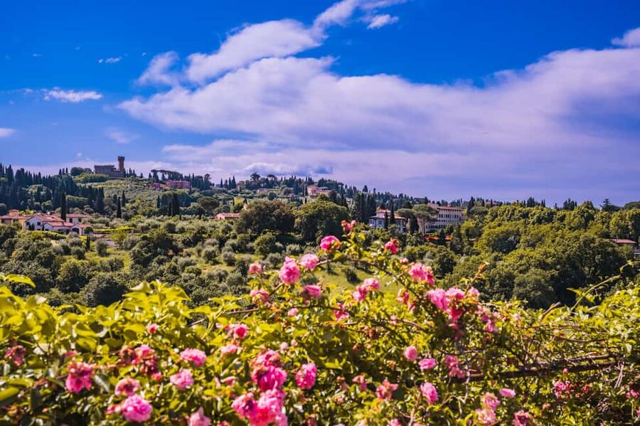 Florence: Pitti Palace and Boboli Gardens Guided Tour - Entering the Palatine Gallery