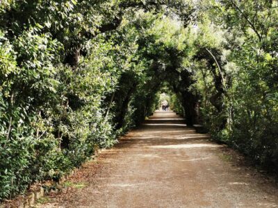 Pitti Palace, Boboli Garden, Palatine Gallery Tour