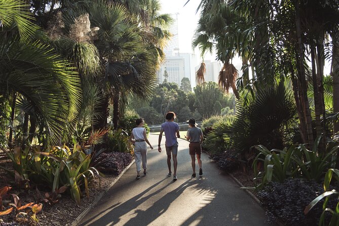 Foraging Tour: Botanical Gardens Walk & Picnic - Looking at the Botanic Gardens through a forager’s eyes