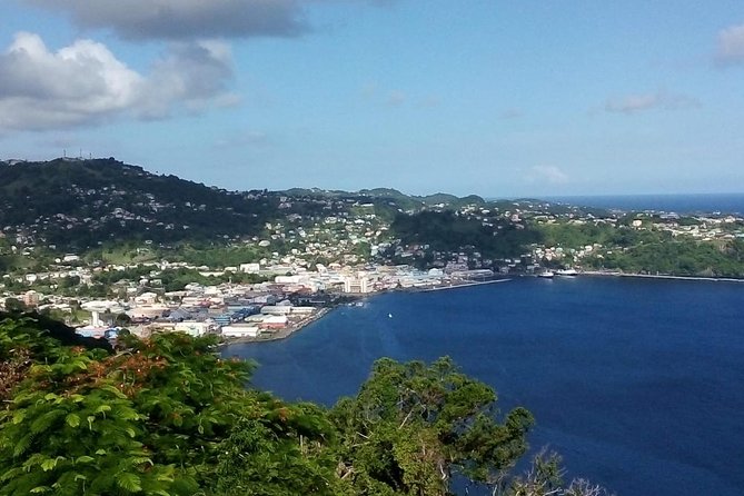 Fort Charlotte, Botanical Gardens and Kingstown Tours with Detention Tours - Why this short tour works well in Kingstown