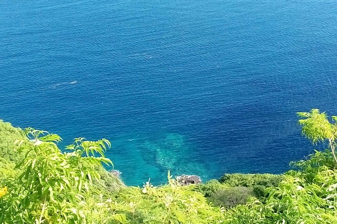 Fort Charlotte, Botanical Gardens and Kingstown Tours with Detention Tours - The Botanical Gardens and Captain Bligh’s breadfruit