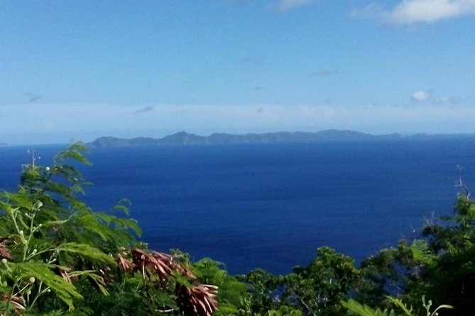 Fort Charlotte, Botanical Gardens and Kingstown Tours with Detention Tours - Comfort, access, and the pace of the morning