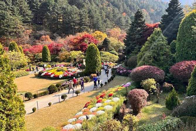 Four Seasons of Nami Island with Garden of Morning Calm Tour - The short stop at the ginseng shopping center