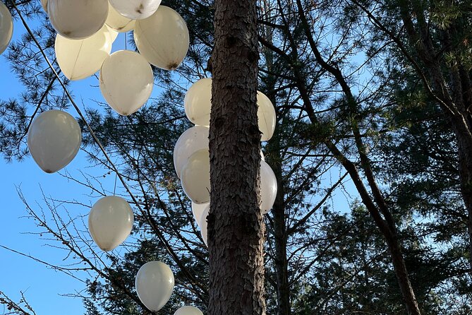 Four Seasons of Nami Island with Garden of Morning Calm Tour - Who should book this outing?