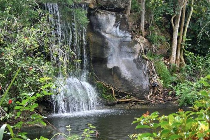Freeport Shore Excursion: Garden of the Groves and City Tour - Key points at a glance
