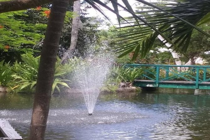 Freeport Shore Excursion: Garden of the Groves and City Tour - What this four-hour Freeport tour is really designed to do