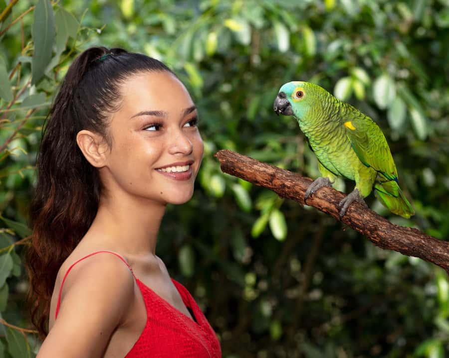 Friends in the Rainforest Package: Koala Gardens & Birdworld - Small details that make the visit easier