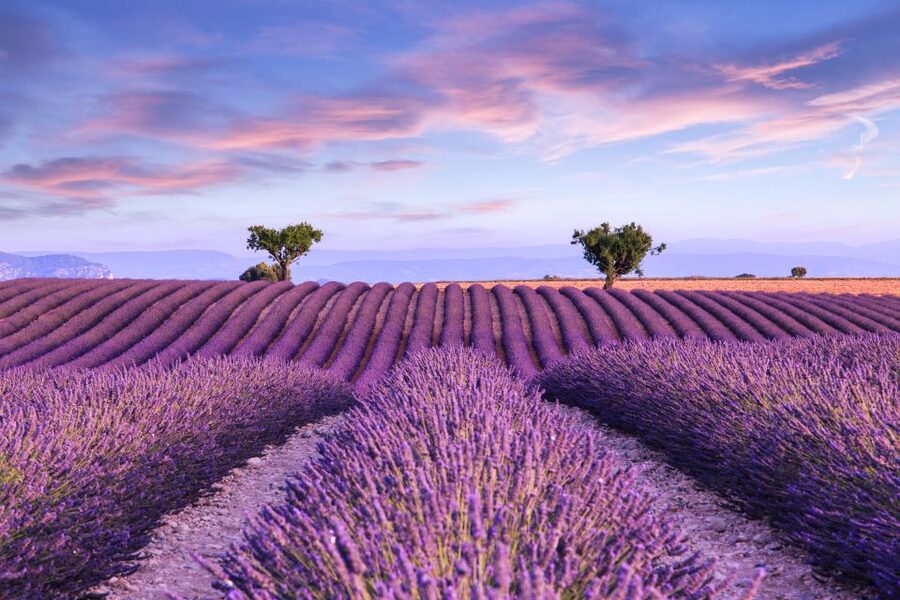 From Aix: Day Trip to Valensole Lavender Fields in Provence - The Drive From Aix to the Plateau
