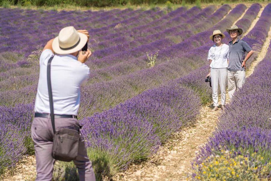 From Aix-en-Provence: Lavender Half Day Tour - Two hours among the lavender fields