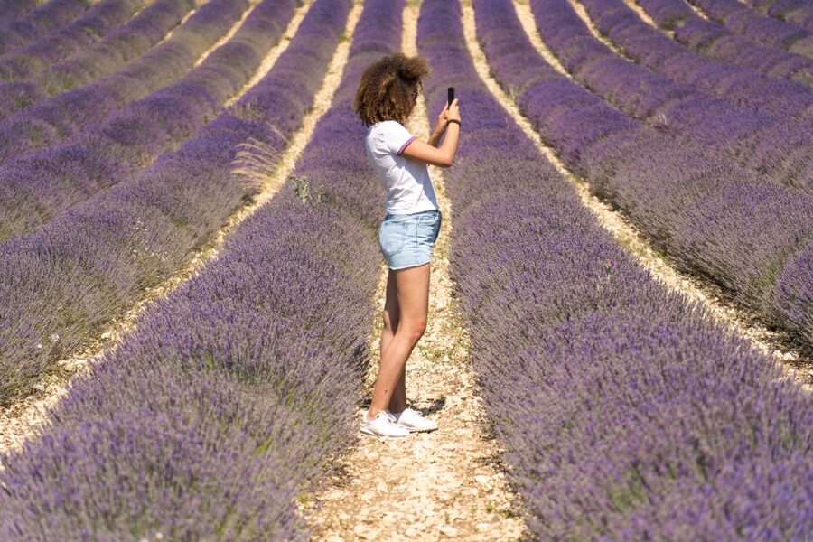 From Aix-en-Provence: Sault Lavender & Gordes Full-Day Tour - What this Aix-en-Provence lavender tour actually offers