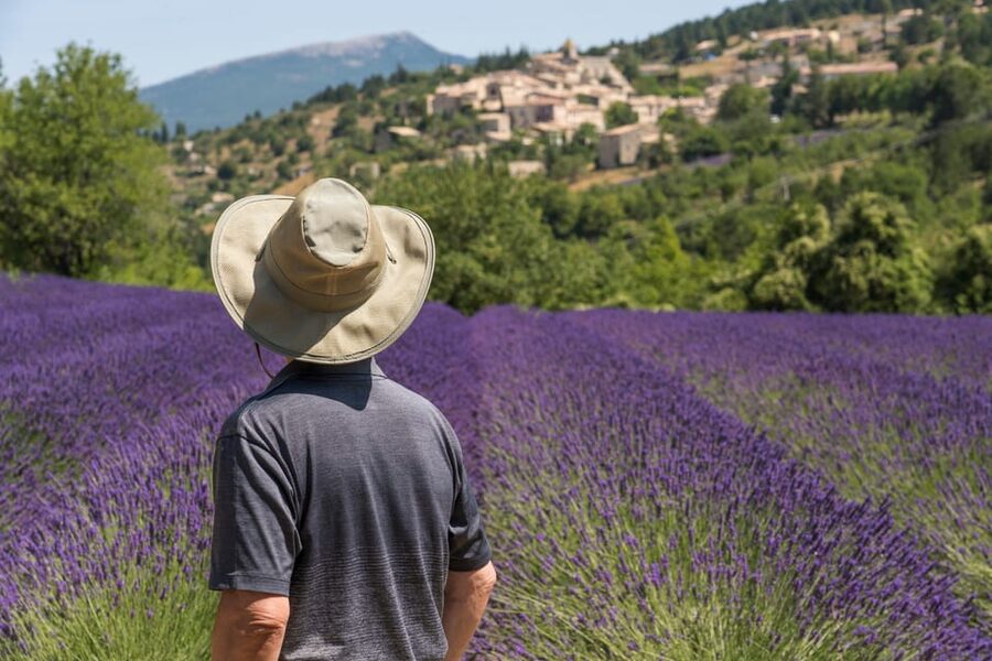 From Aix-en-Provence: Sault Lavender & Gordes Full-Day Tour - Why the eight-person minibus matters