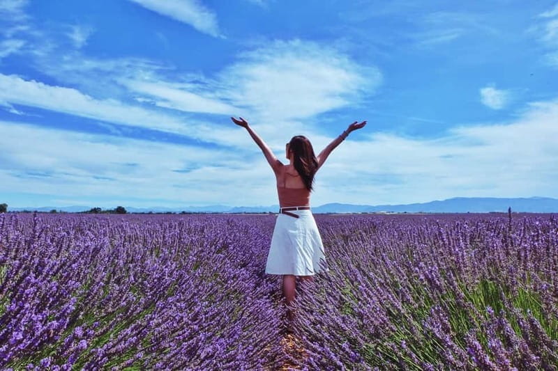 From Aix-en-Provence : Sunset Lavender Tour in Valensole - Why sunset changes the Valensole fields