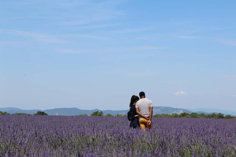 From Aix-en-Provence : Sunset Lavender Tour in Valensole - Leaving Aix in a group of eight