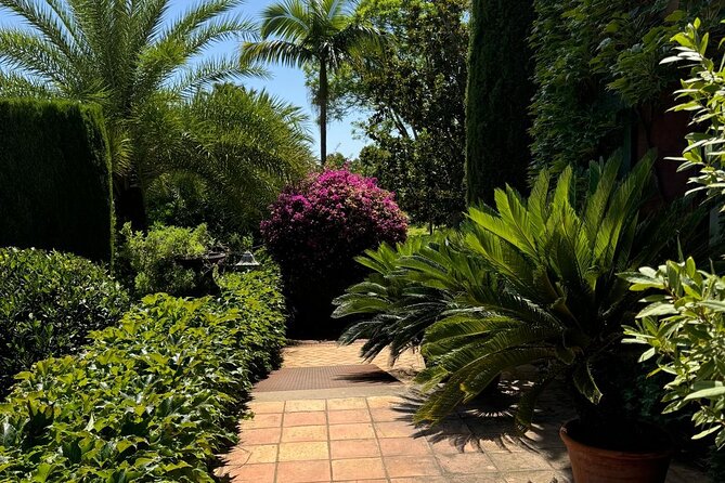From Albir, Benidorm & Calpe: Denia & Mediterranean Gardens Trip - Denia Castle: a worthwhile extra, with a separate fee