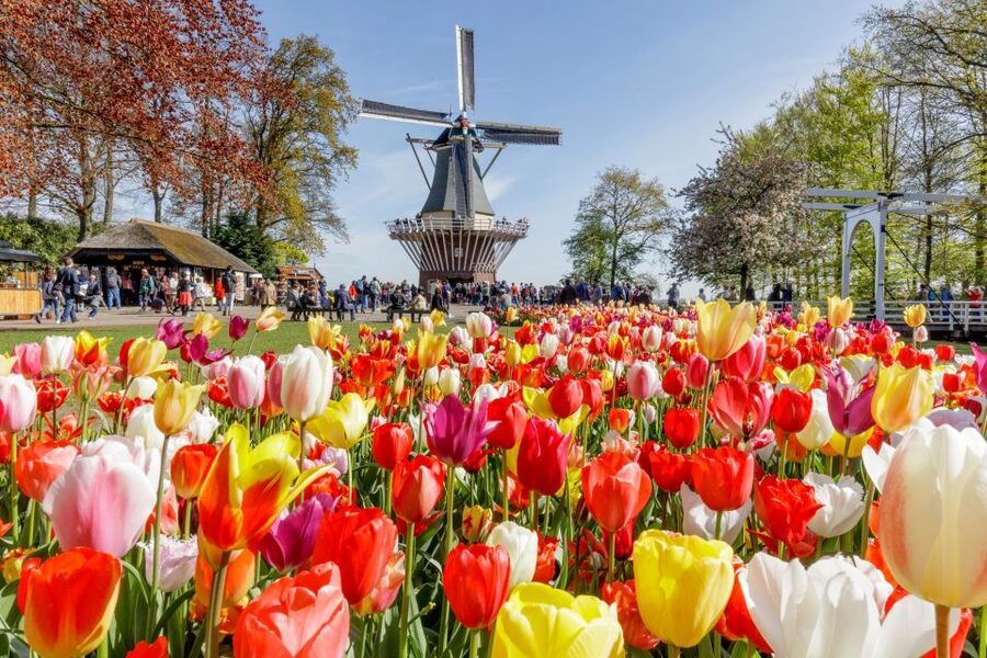 From Amsterdam: Keukenhof and Dutch Countryside Tour - Food, clothing, and what to bring