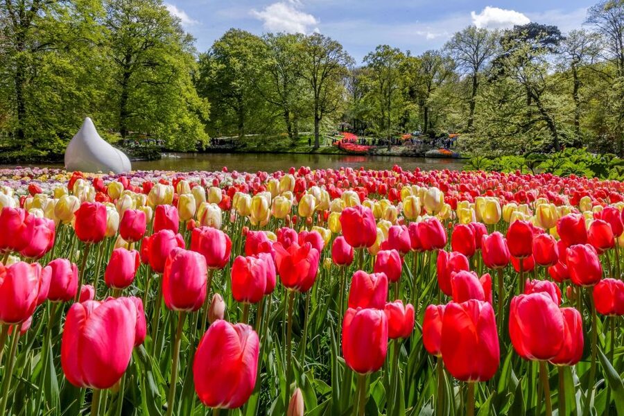 From Amsterdam: Keukenhof and Dutch Countryside Tour - Starting at Amsterdam Central Station