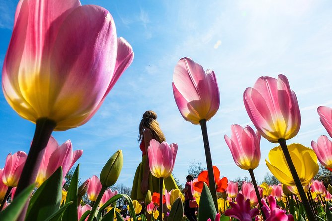 From Amsterdam: Keukenhof and Tulip Experience Tour - Four hours among flowers, ponds, and pavilions